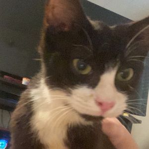 Meet your Posher, Breanna